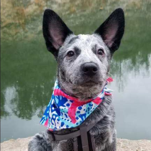 Meet your Poshers, Ruth and Benji! - Picture 2 of 2